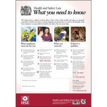 HEALTH & SAFETY POSTER (A3) 297X420MM HSE
