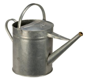 2 GAL GALV. WATERING CAN 9.09 LTR C/W ROSE