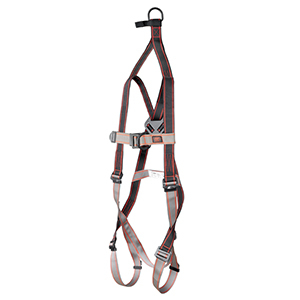 PIONEER 2-POINT RESCUE HARNESS JSP